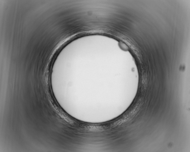 X0000098090933200805021042