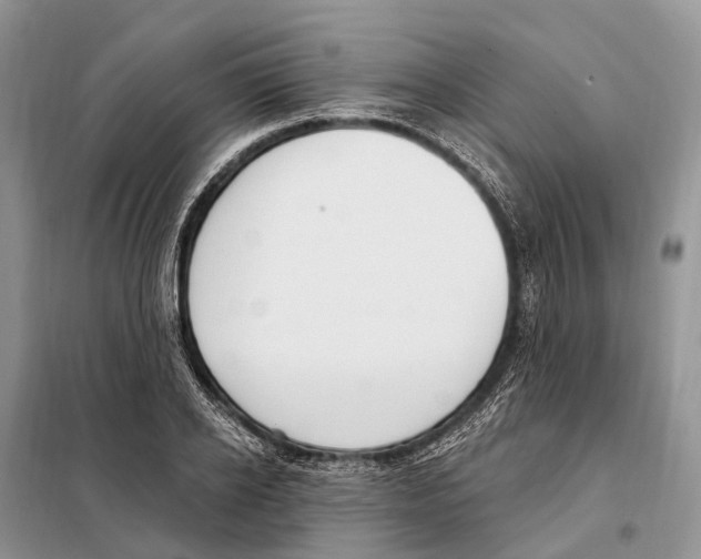 X0000098090934200805021042