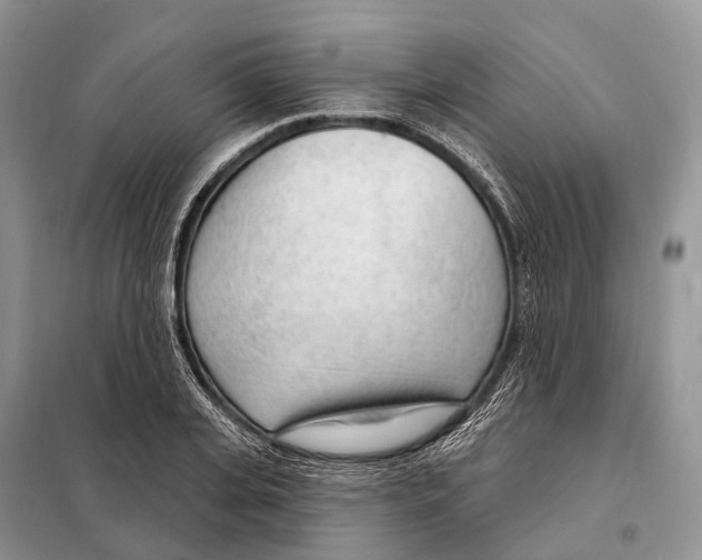 X0000098090935200805021042