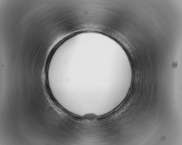 X0000098090936200805021042