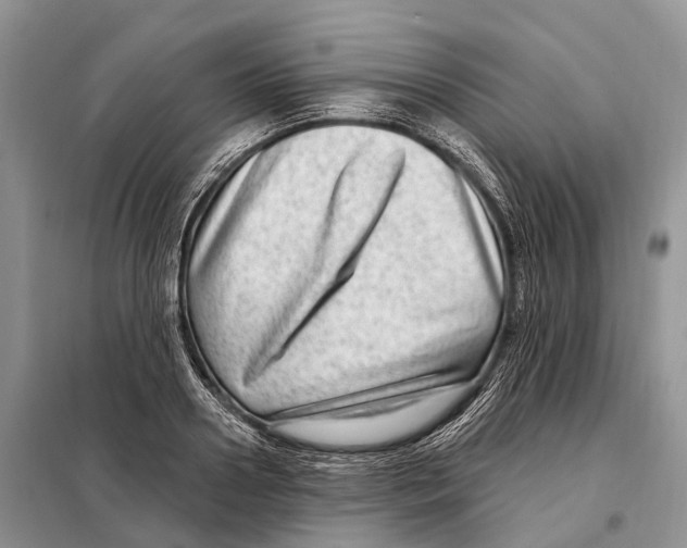 X0000098090938200805021042