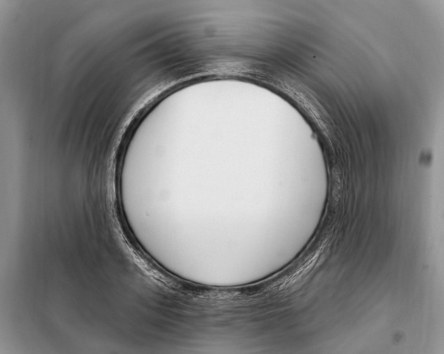 X0000098090939200805021042