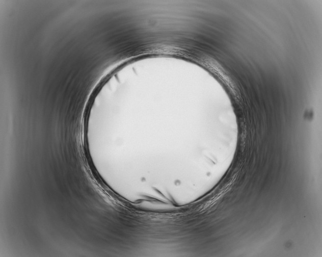 X0000098090940200805021042