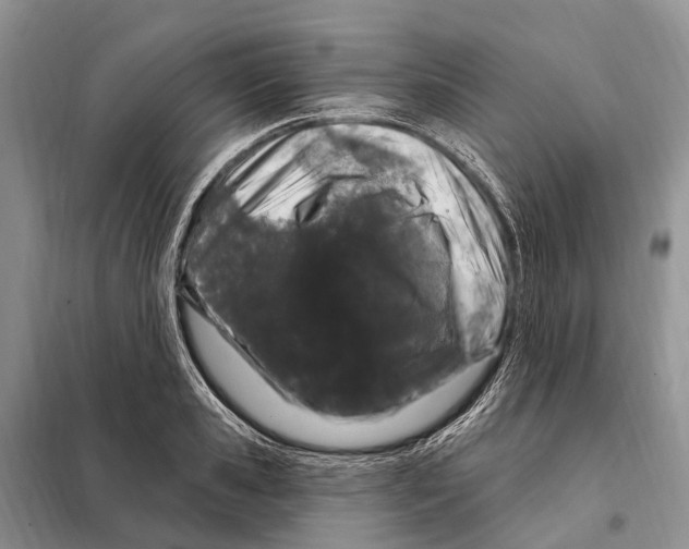 X0000098090941200805021042