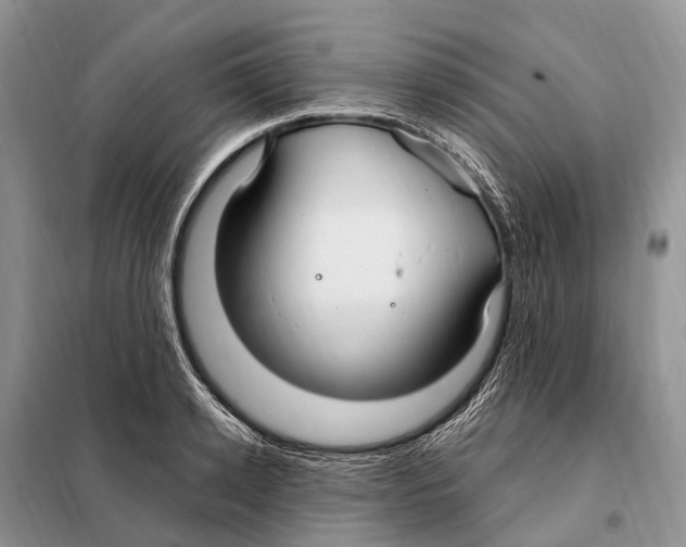 X0000098090942200805021042