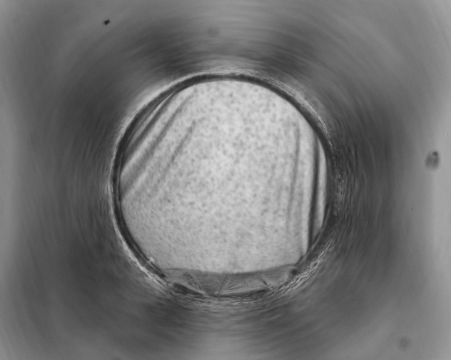 X0000098090943200805021042