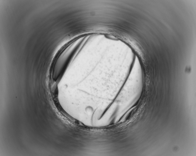 X0000098090944200805021042