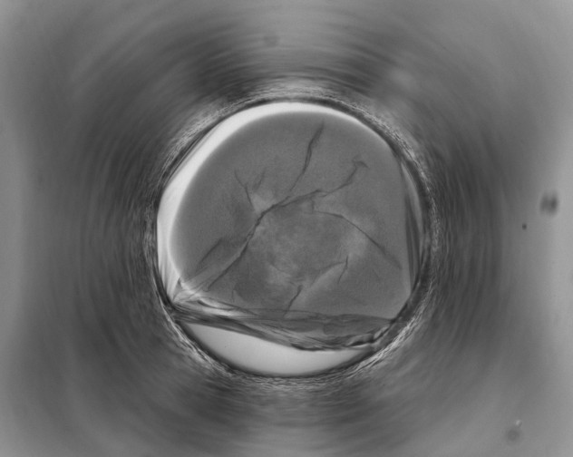 X0000098090945200805021042