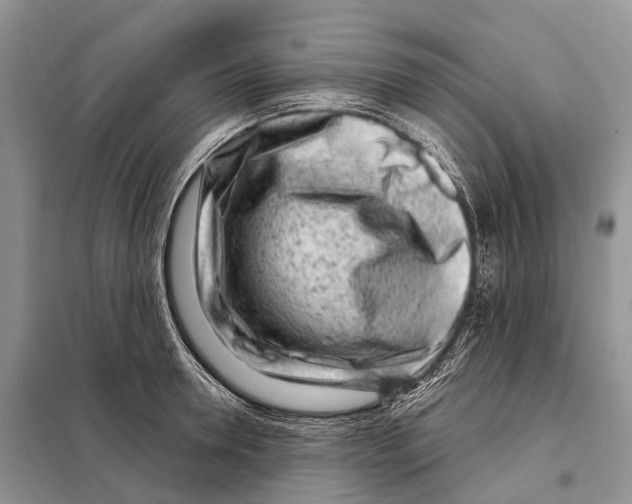 X0000098090946200805021042