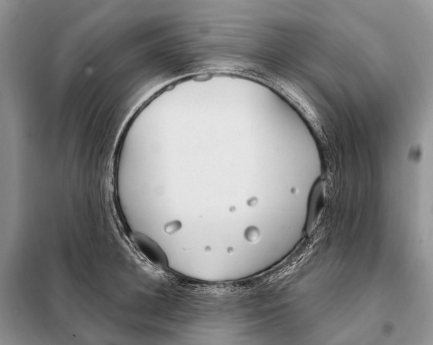 X0000098090948200805021042