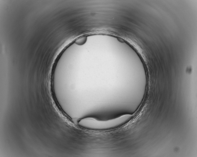 X0000098090949200805021042