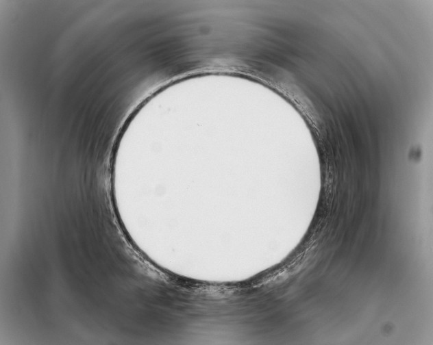 X0000098090950200805021042