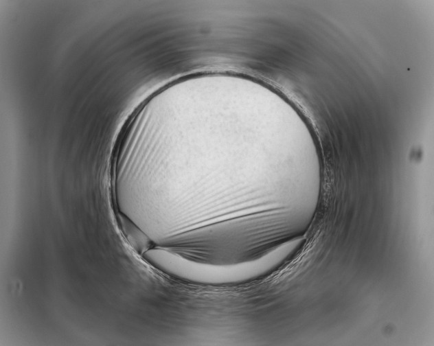 X0000098090951200805021042