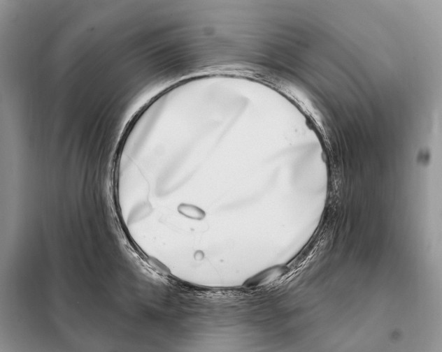 X0000098090952200805021042