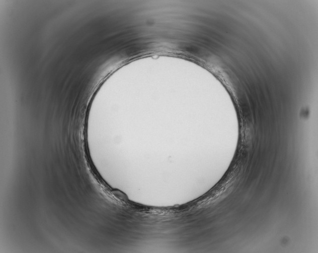 X0000098090954200805021042