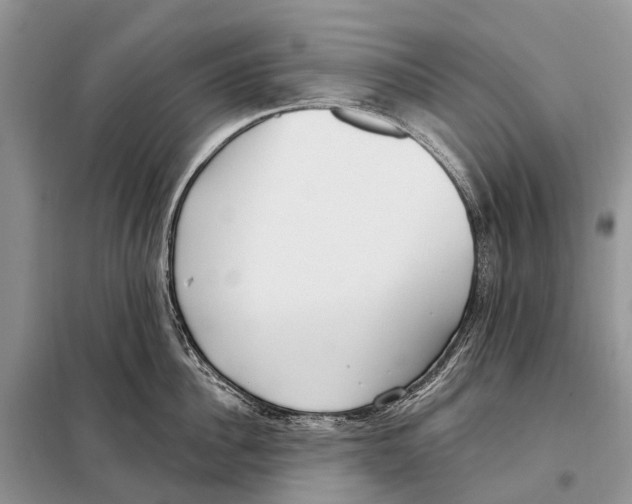 X0000098090956200805021042