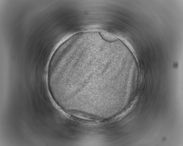 X0000098090957200805021042