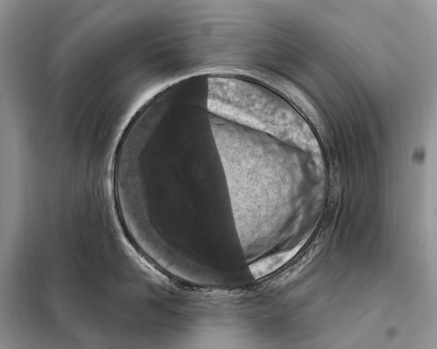 X0000098090958200805021042