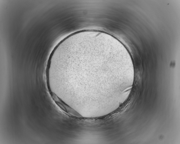 X0000098090959200805021043