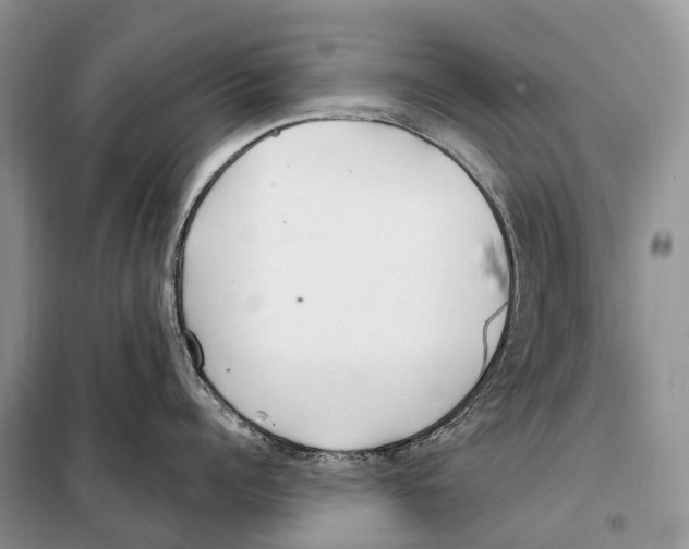 X0000098090960200805021043