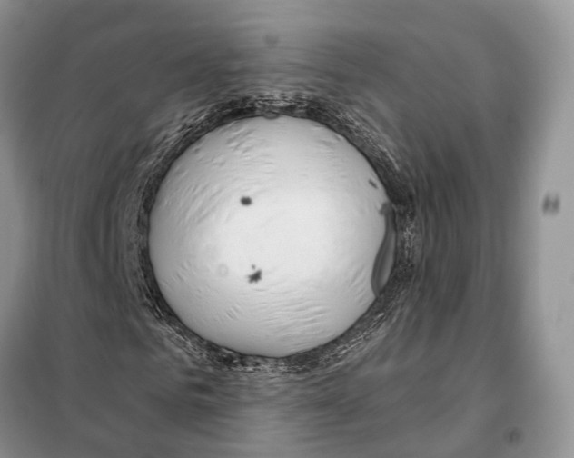 X0000098090961200805021042