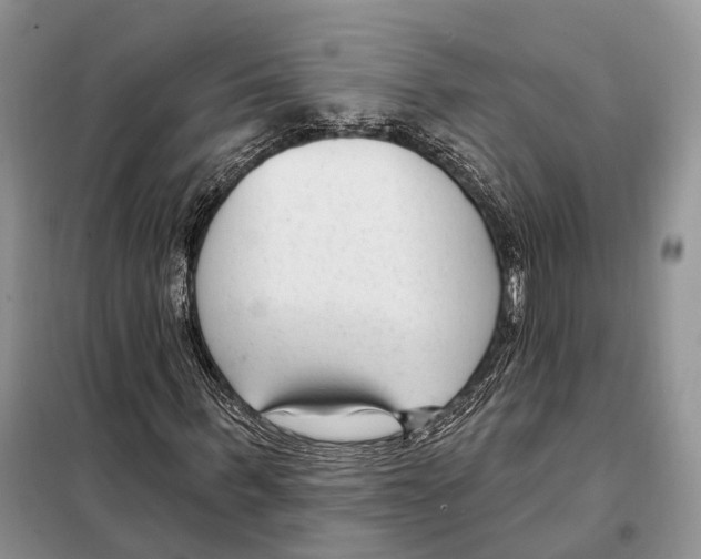 X0000098090963200805021042