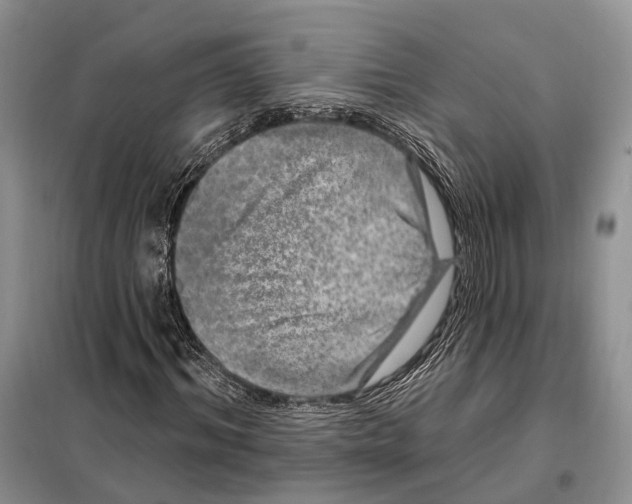 X0000098090964200805021042