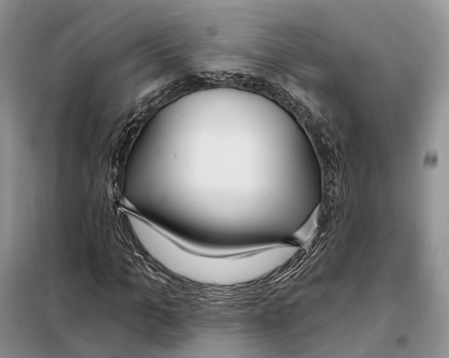 X0000098090965200805021042