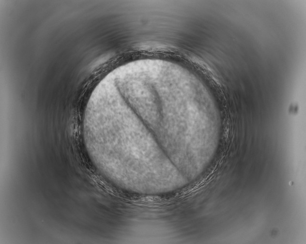 X0000098090966200805021042