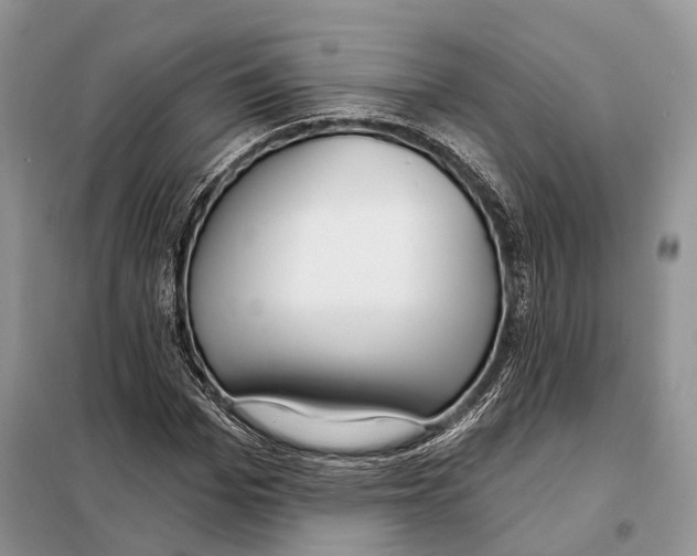 X0000098090969200805021042