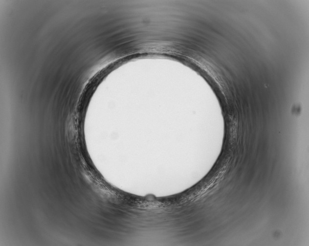 X0000098090971200805021042