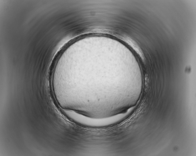 X0000098090972200805021042