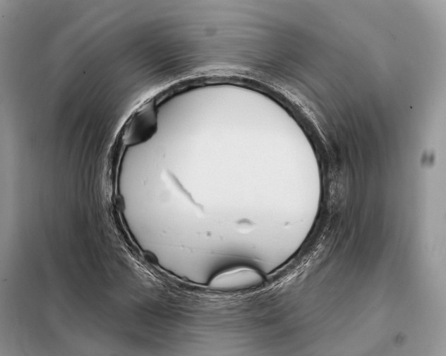 X0000098090973200805021042