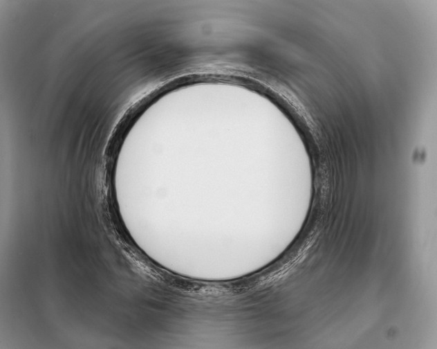 X0000098090974200805021042