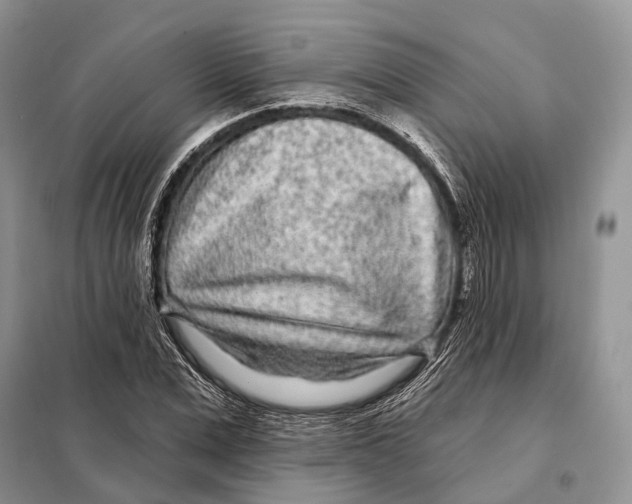 X0000098090975200805021042