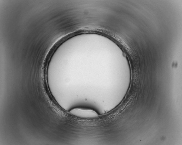 X0000098090976200805021042