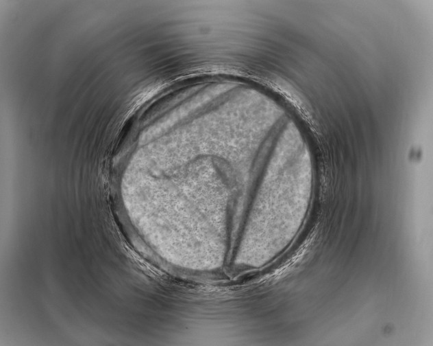 X0000098090977200805021042