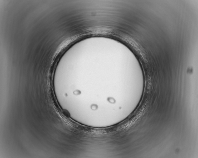 X0000098090978200805021042