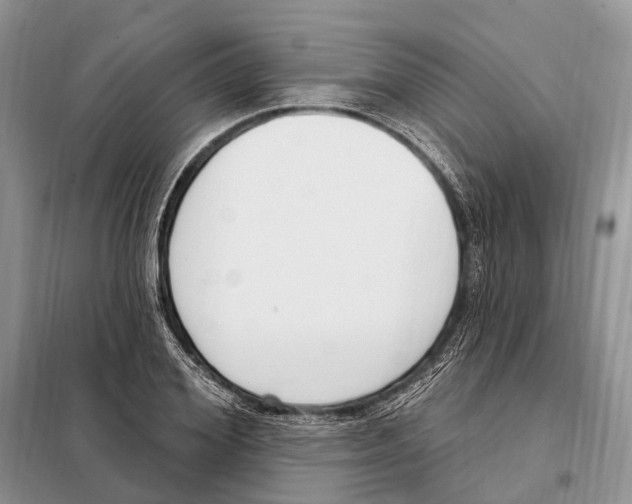 X0000098090980200805021042