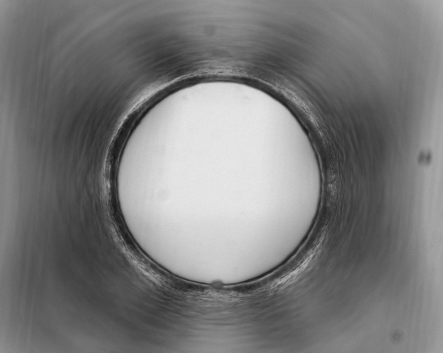 X0000098090981200805021042