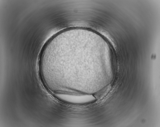 X0000098090983200805021042