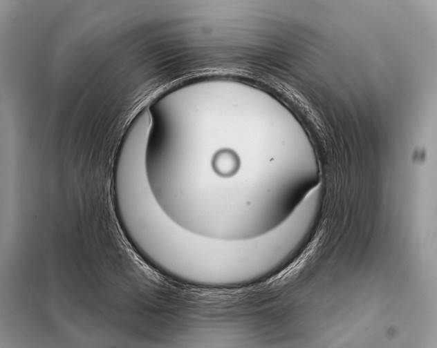 X0000098090985200805021042