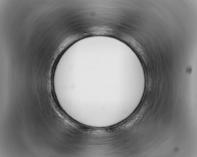 X0000098090986200805021042