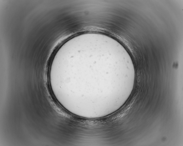 X0000098090987200805021042