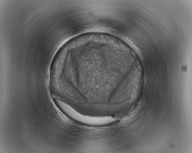 X0000098090988200805021041