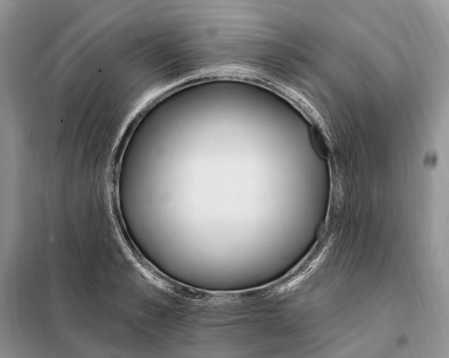 X0000098090989200805021041