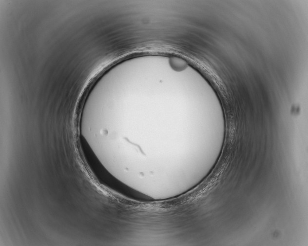 X0000098090990200805021041