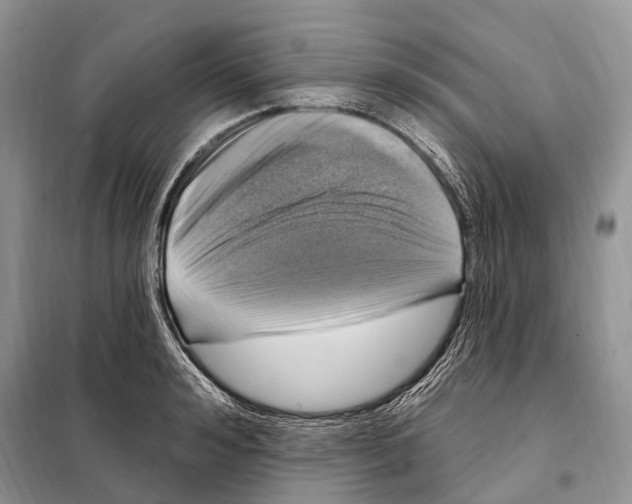 X0000098090992200805021041