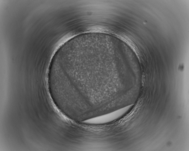 X0000098090995200805021041