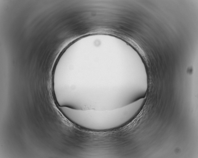 X0000098090996200805021041